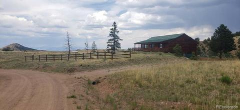 825 Junkins Loop, Westcliffe, CO 81252 photo 29