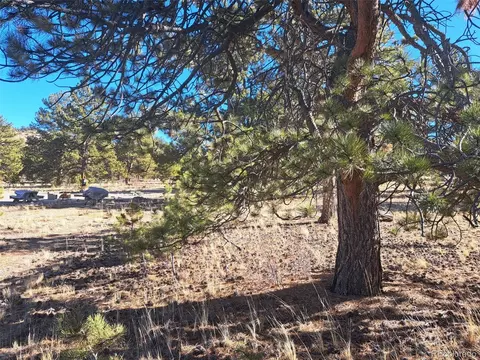 247 Maricopa Trl, Hartsel, CO 80449 photo 30