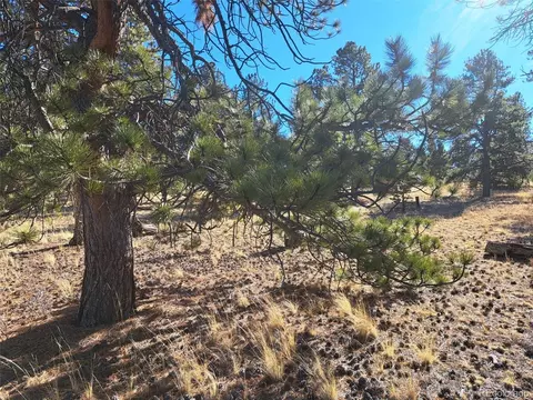 247 Maricopa Trl, Hartsel, CO 80449 photo 25