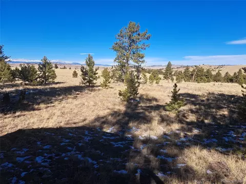 247 Maricopa Trl, Hartsel, CO 80449 photo 21