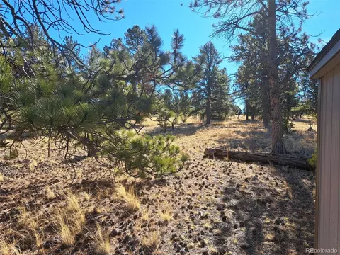 247 Maricopa Trl, Hartsel, CO 80449 photo 16