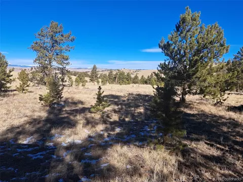 247 Maricopa Trl, Hartsel, CO 80449 photo 19