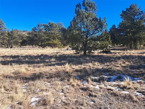 247 Maricopa Trl, Hartsel, CO 80449 photo 9
