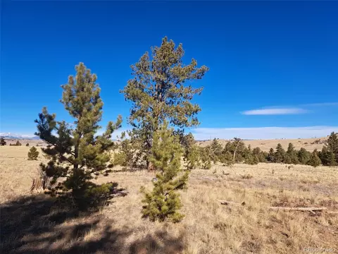247 Maricopa Trl, Hartsel, CO 80449 photo 13
