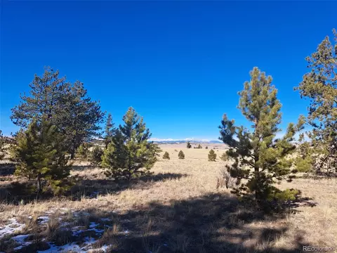 247 Maricopa Trl, Hartsel, CO 80449 photo 26