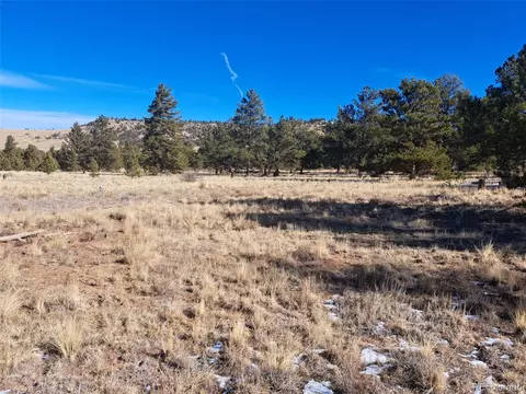247 Maricopa Trl, Hartsel, CO 80449 photo 22