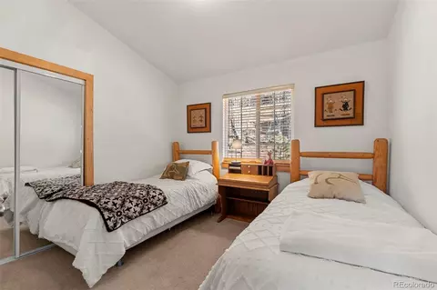 114 Hall Rd, Bailey, CO 80421 photo 13