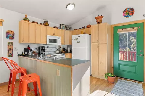 114 Hall Rd, Bailey, CO 80421 photo 8