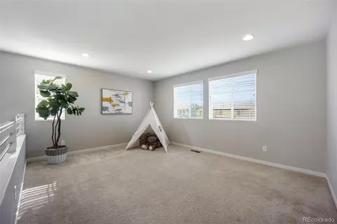 10934 Touchstone Loop, Parker, CO 80134 photo 29