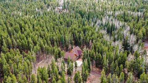 8820 Spring Dr, Conifer, CO 80433 photo 3