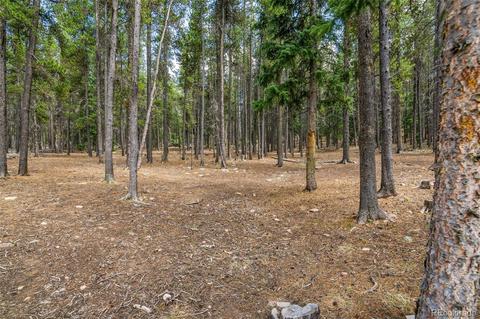 8820 Spring Dr, Conifer, CO 80433 photo 34