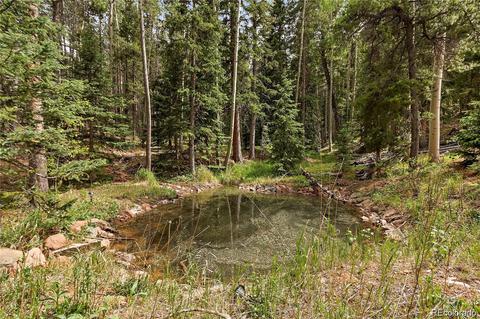 8820 Spring Dr, Conifer, CO 80433 photo 11
