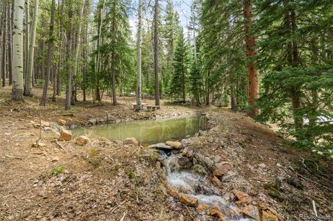 8820 Spring Dr, Conifer, CO 80433 photo 10