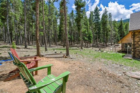 8820 Spring Dr, Conifer, CO 80433 photo 33