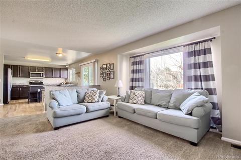 21111 E 44th Ave, Denver, CO 80249 photo 6