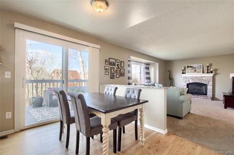 21111 E 44th Ave, Denver, CO 80249 photo 15