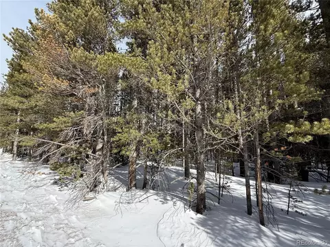 lot105 Deer Rd, Idaho Springs, CO 80452