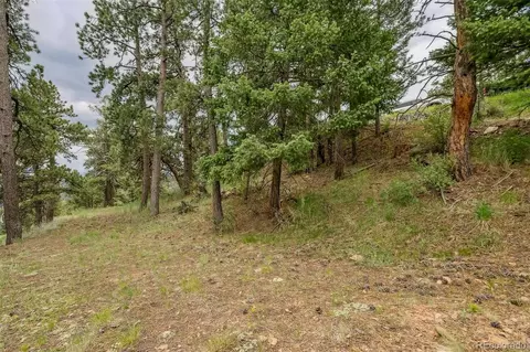 13062 Lori Dr, Conifer, CO 80433 photo 9
