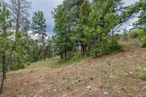 13062 Lori Dr, Conifer, CO 80433 photo 12