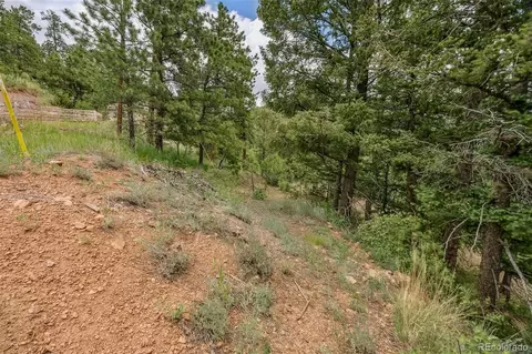 13062 Lori Dr, Conifer, CO 80433 photo 7
