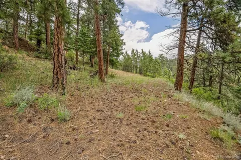 13062 Lori Dr, Conifer, CO 80433 photo 8