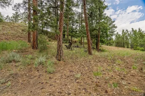 13062 Lori Dr, Conifer, CO 80433 photo 13