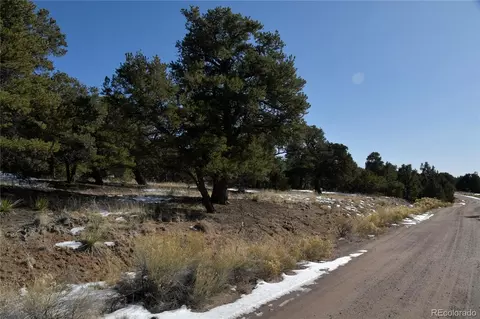 Naropa Tract, Crestone, CO 81131 photo 19