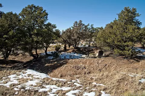 Naropa Tract, Crestone, CO 81131 photo 16