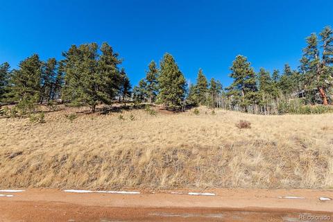 283 Bishop Rd, Bailey, CO 80421 photo 4