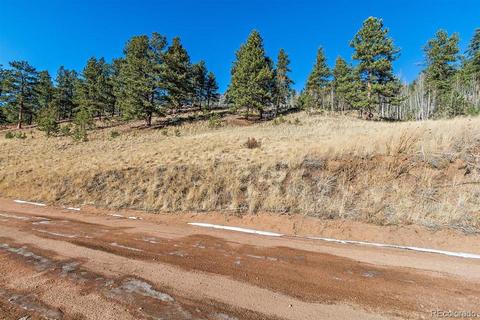 283 Bishop Rd, Bailey, CO 80421 photo 3