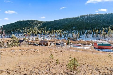 283 Bishop Rd, Bailey, CO 80421 photo 5