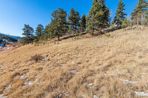 283 Bishop Rd, Bailey, CO 80421 photo 9