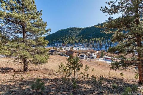 283 Bishop Rd, Bailey, CO 80421 photo 1