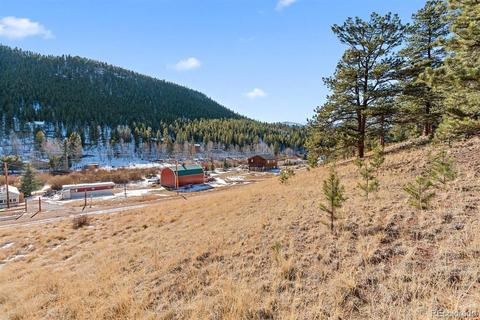 283 Bishop Rd, Bailey, CO 80421 photo 6