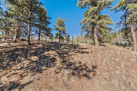 283 Bishop Rd, Bailey, CO 80421 photo 2