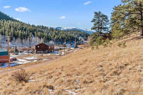 283 Bishop Rd, Bailey, CO 80421 photo 7