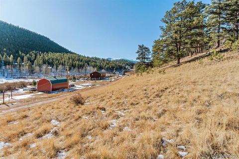283 Bishop Rd, Bailey, CO 80421 photo 8