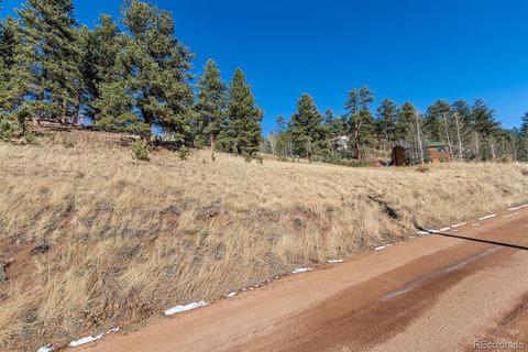 283 Bishop Rd, Bailey, CO 80421 photo 10