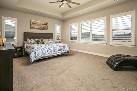 9448 Gore Loop, Arvada, CO 80007 photo 25