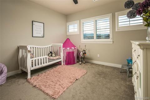 9448 Gore Loop, Arvada, CO 80007 photo 33