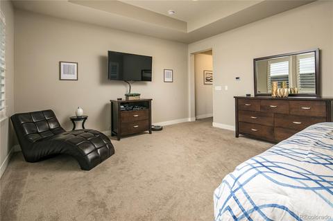 9448 Gore Loop, Arvada, CO 80007 photo 26