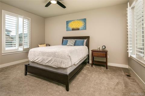 9448 Gore Loop, Arvada, CO 80007 photo 21