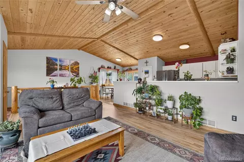 Other - 196 Conifer Dr, Bailey, CO 80421 photo 3 of 15