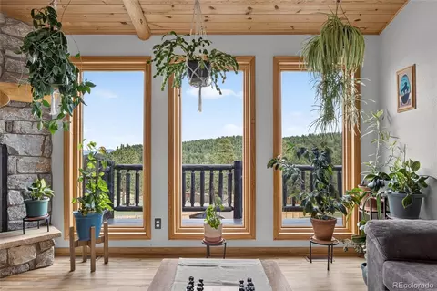 Other - 196 Conifer Dr, Bailey, CO 80421 photo 5 of 15