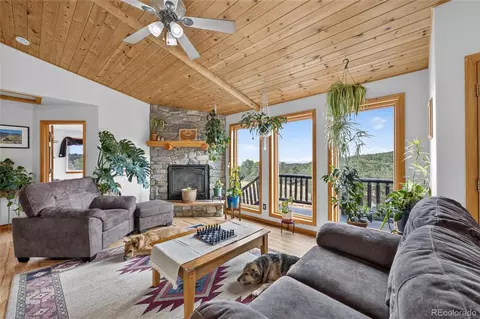 Living - 196 Conifer Dr, Bailey, CO 80421 photo 2 of 2