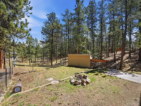 Exterior - 234 Impala Trl, Bailey, CO 80421 photo 10 of 11