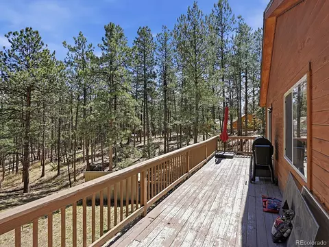 Exterior - 234 Impala Trl, Bailey, CO 80421 photo 6 of 11