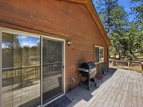 Exterior - 234 Impala Trl, Bailey, CO 80421 photo 7 of 11