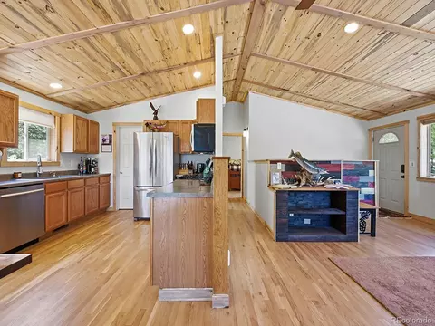 234 Impala Trl, Bailey, CO 80421