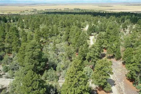 Big Bear Road, Mosca, CO 81146 photo 3